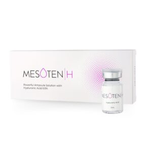 Mesoten H